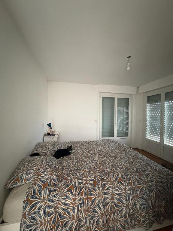 Appartement idéal - 5