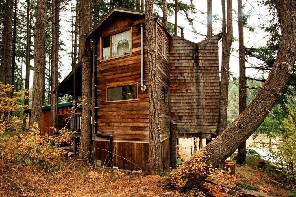 Tree House Style Cabin Nestled at the Foot of Scenic Snow-Capped Mt. Adams, Washington, Snowden