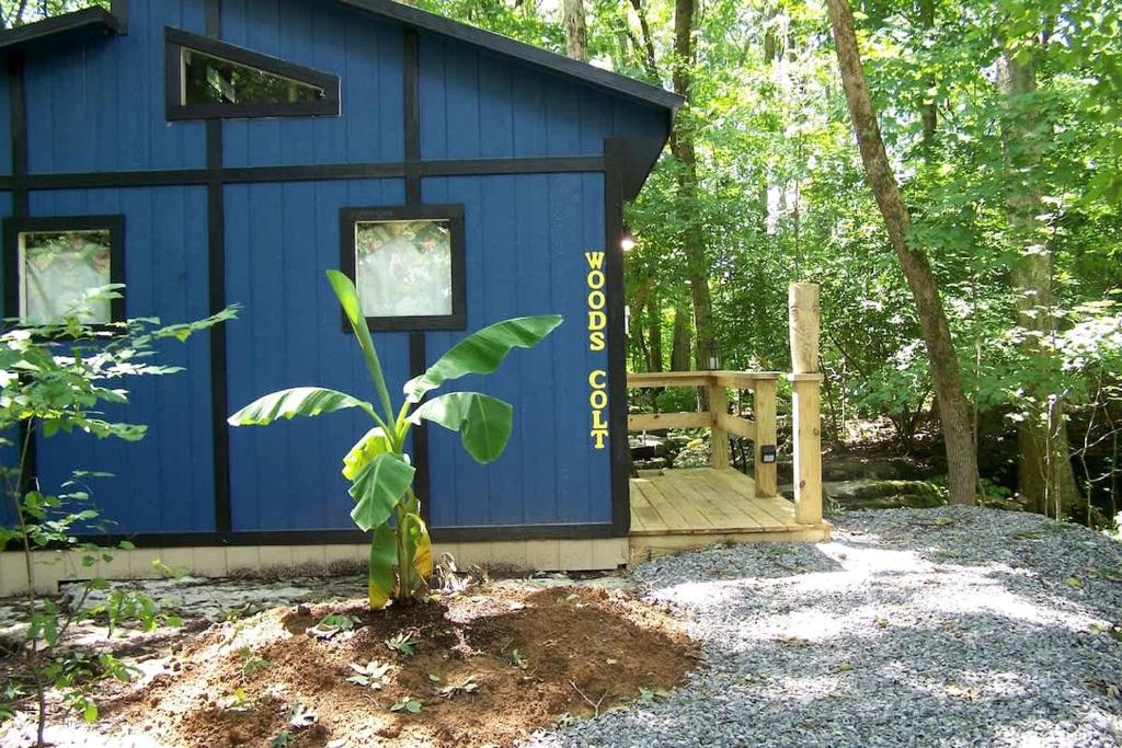 Cozy Tiny House in Tennessee Forest with Loft Beds & Country Breakfast, Cedar Grove
