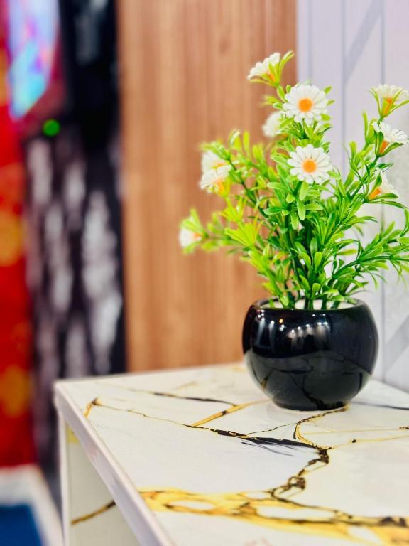 Model Apartment No 30, Lahore