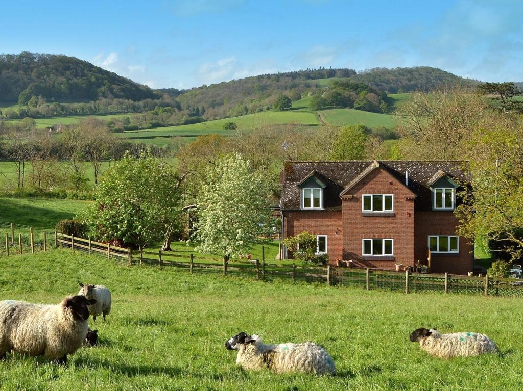 1 Bed in Ironbridge 73319, Buildwas