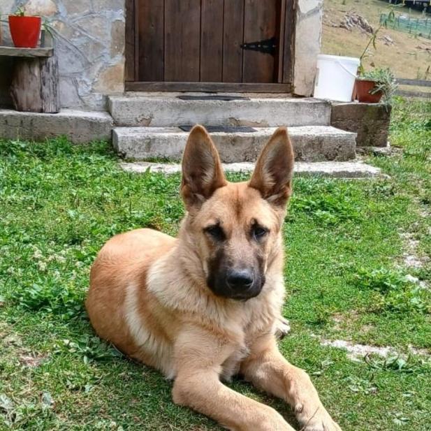 Dulović - KATUN POTOCI - 5