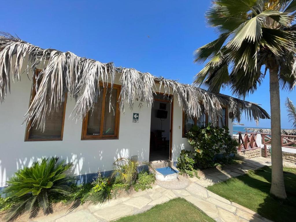 Condominios las Palmas -bungalows - 1