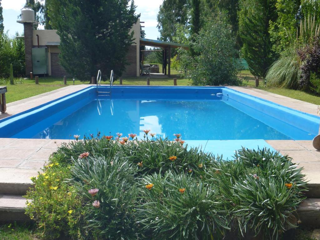 Swimming pool, Cabanas Aike in San Rafael
