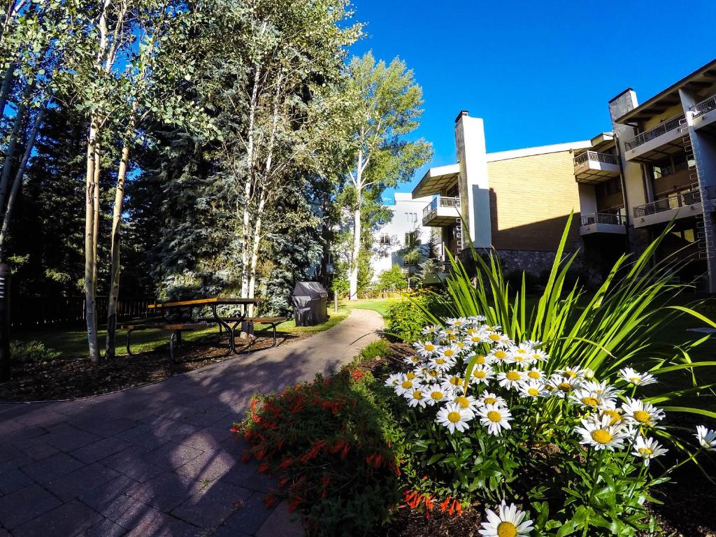 Lodge at Lionshead photo
