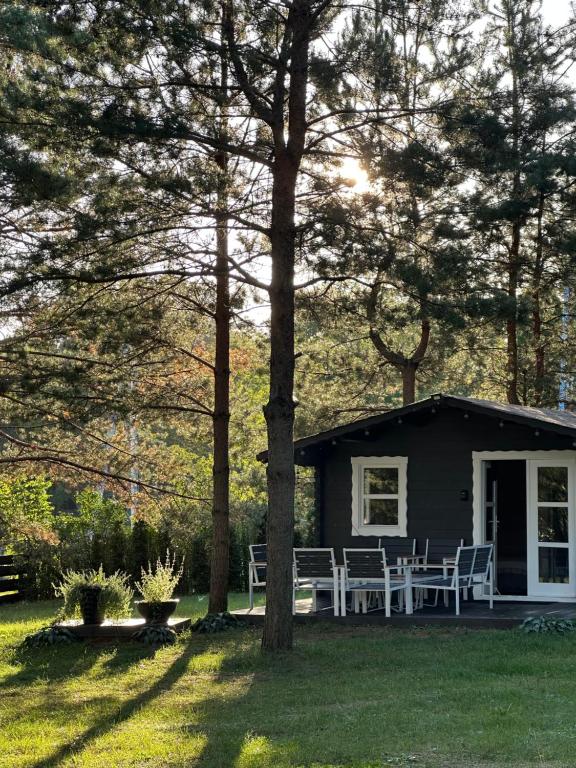 Spyglyne, Braziūkai