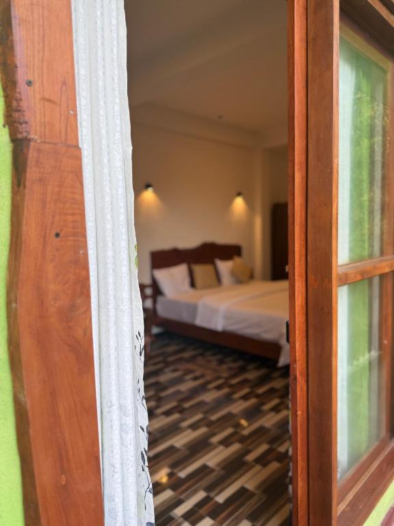 Mango tree Ella, Ella