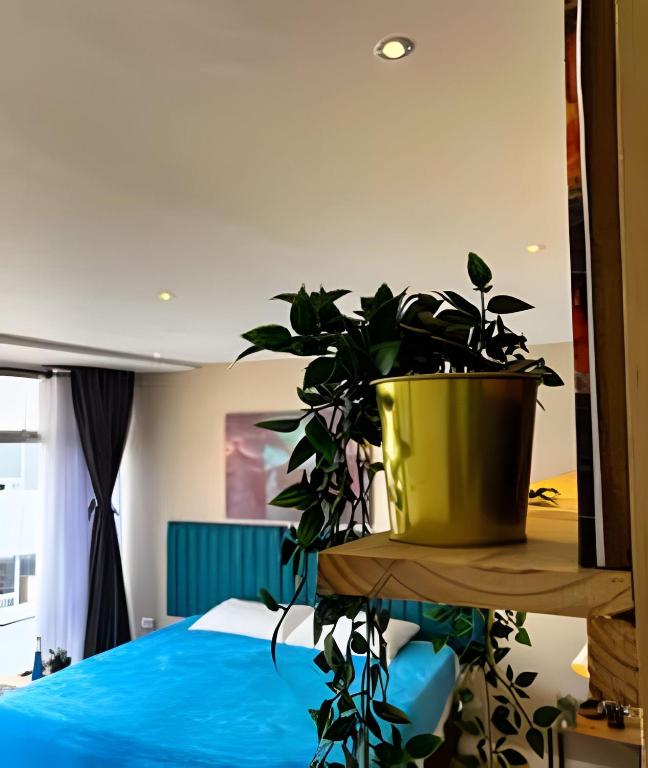 Luxury Apartaestudio Chapinero - 4