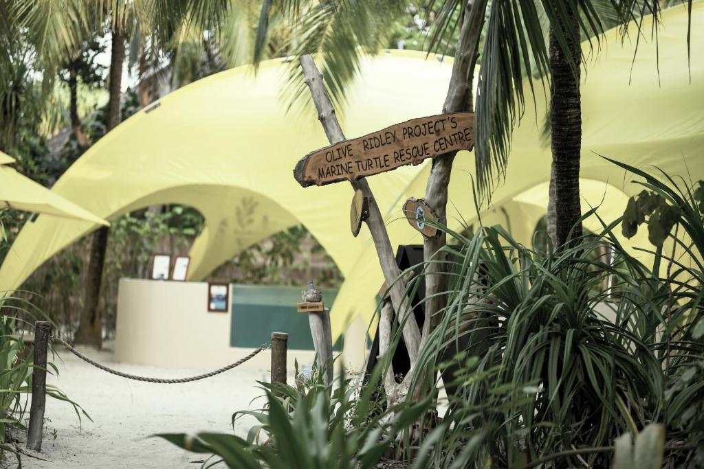 アクティビティ