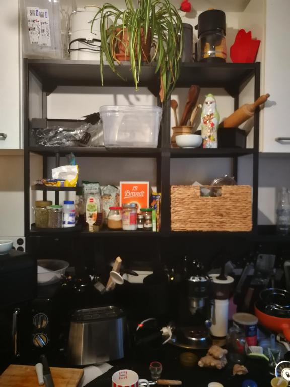 OKTOBERFEST central one bedroom upto four pax - 3