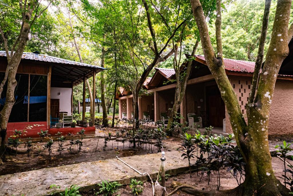 Dancing Dugong, Ostrov Neil