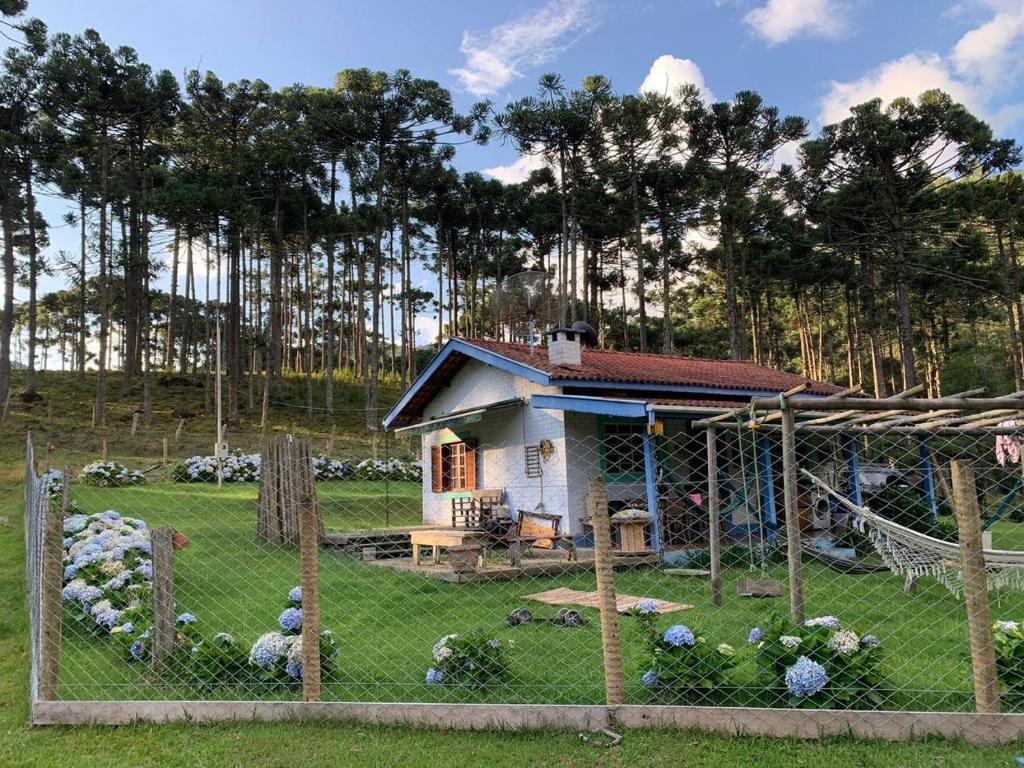 Cantinho da Bubu, Gonçalves