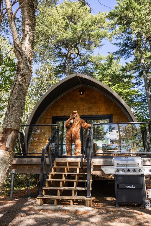 Sunken Escapes Glamping Unit 4, New Minas