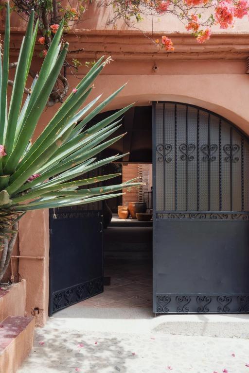 Casa Arrona Oaxaca - 4