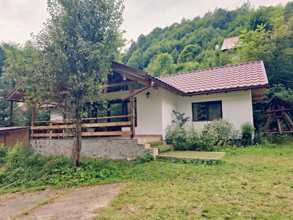 Rustic Home, Ciungetu