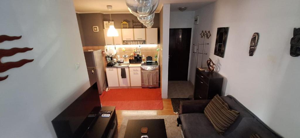 Cityline home Coka - 1