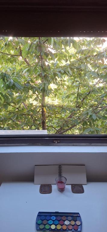 Cityline home Coka - 2