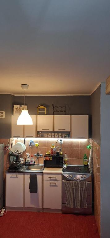 Cityline home Coka - 5