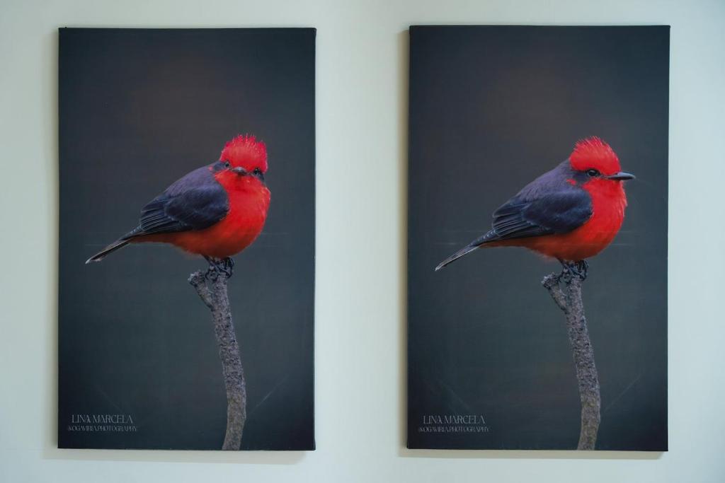 Norte cali -Bosque Living -204 - 5