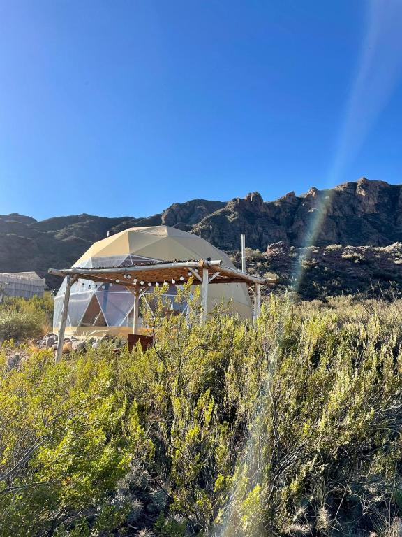 Glamping Potrerillos - 2