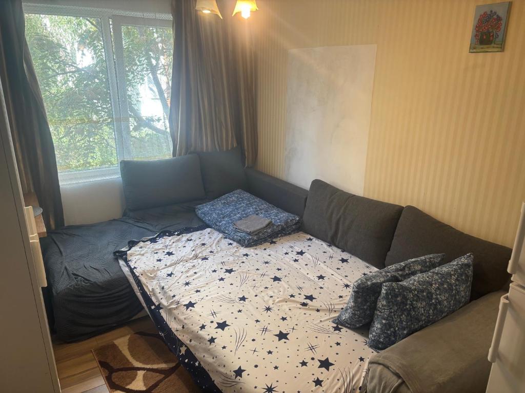 Studio fain, Bukurešť