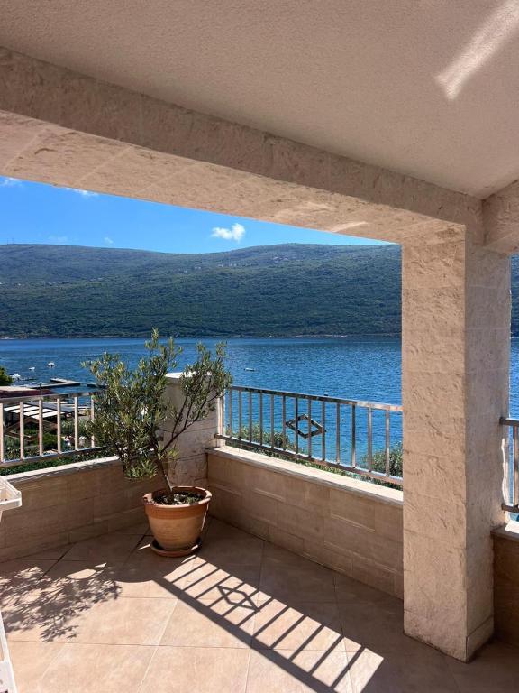 Apartmani Krivokapic - 2