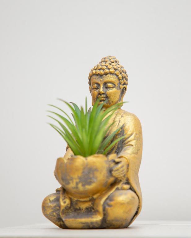 Furnished apartment, bedroom, living room, Cotonou