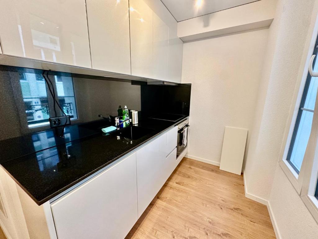 Private & Shared Stays in Lausanne - 4