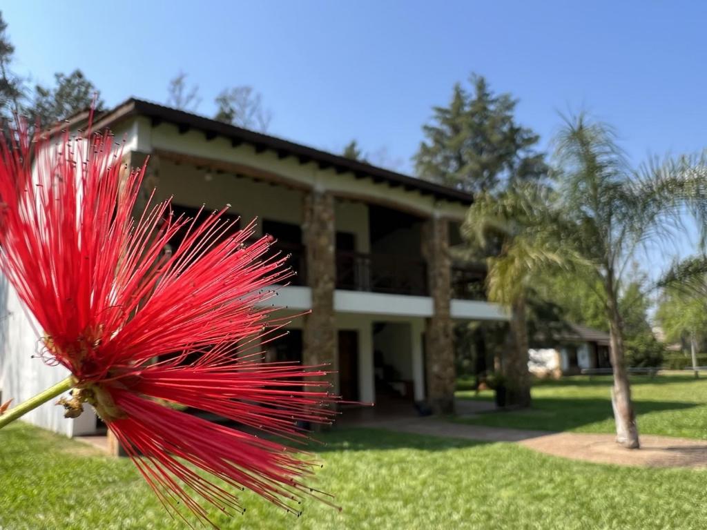 Pruebas de Hotel Posada - 5