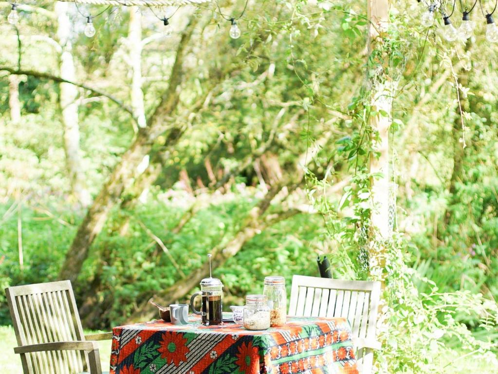 The Beech Hut photo 6