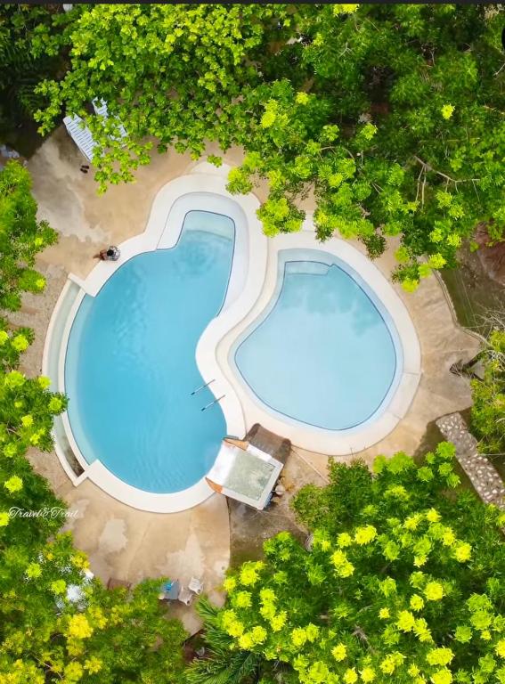 スイミングプール