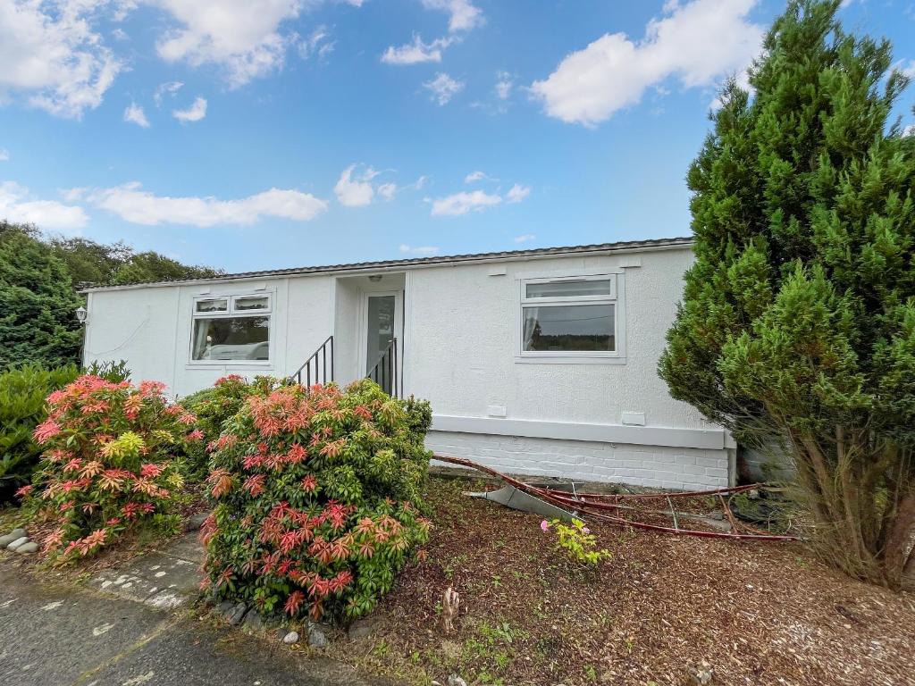 Lisset, Newton Stewart