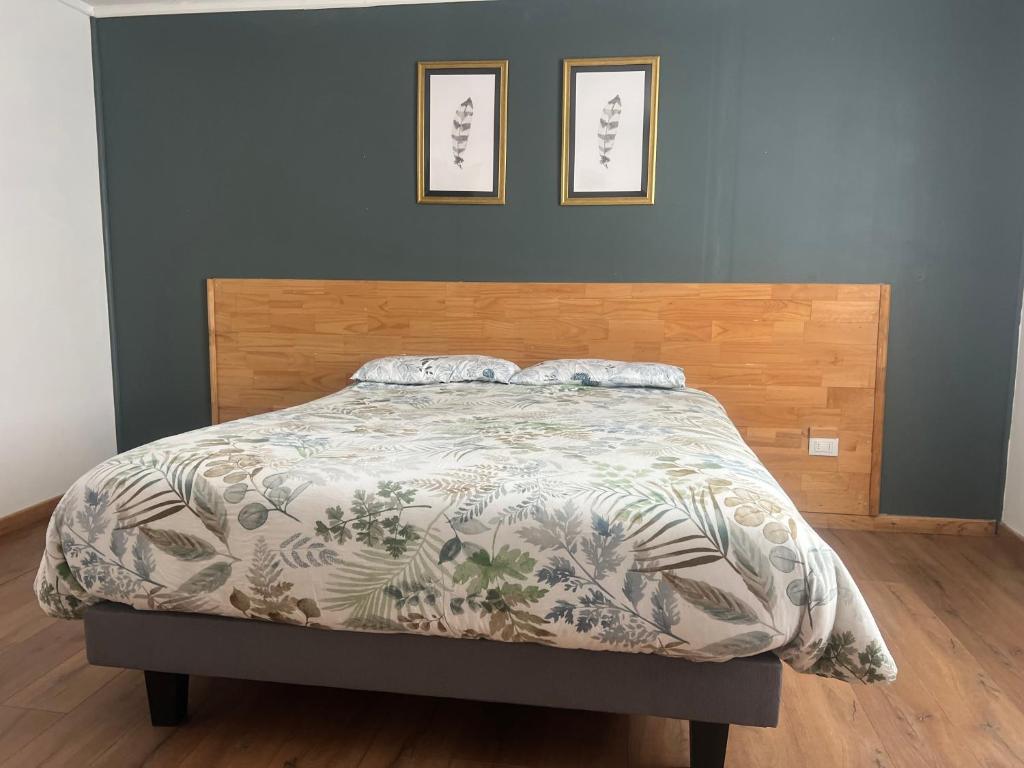 Brisas de Puerto Varas - 2