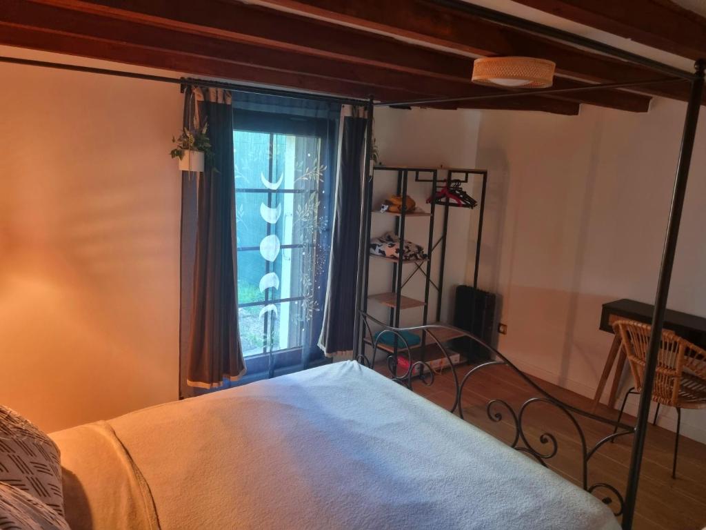 Appartement romantique à 5mn de la cathédrale d'Albi - 2