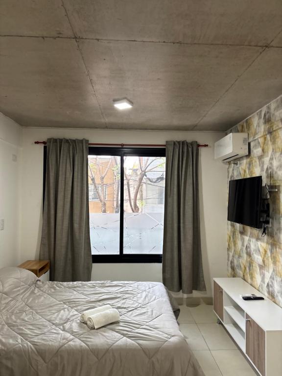 Exclusivo loft - Zona centro - 2