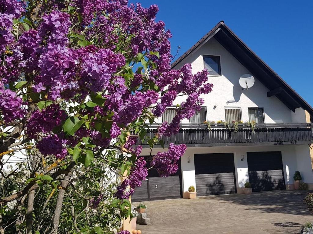 Holiday home with 2 bedrooms, Burggaillenreuth