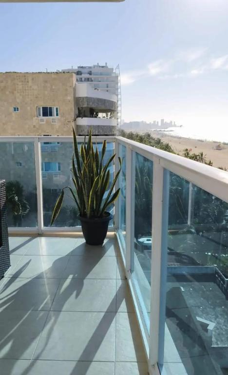 Hermoso apartamento, zona exclusiva, Morros Cartagena - 2