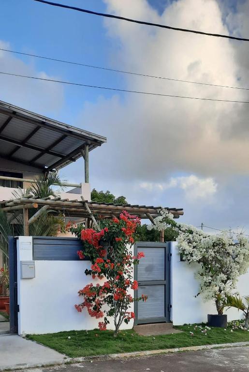 Staycation Wandre, Centre de Flacq