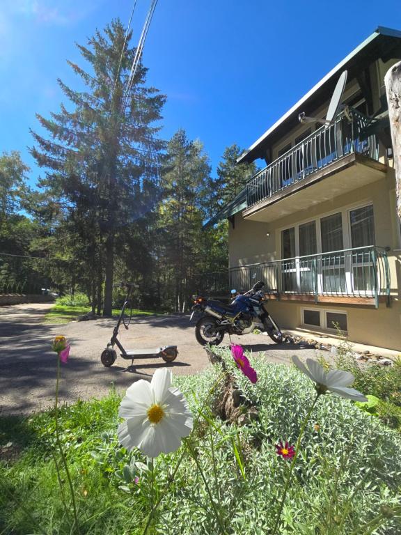 Apartmani Milutinovic - 4