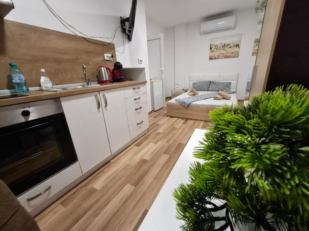 Ruse Charm Studio 2, Ruse