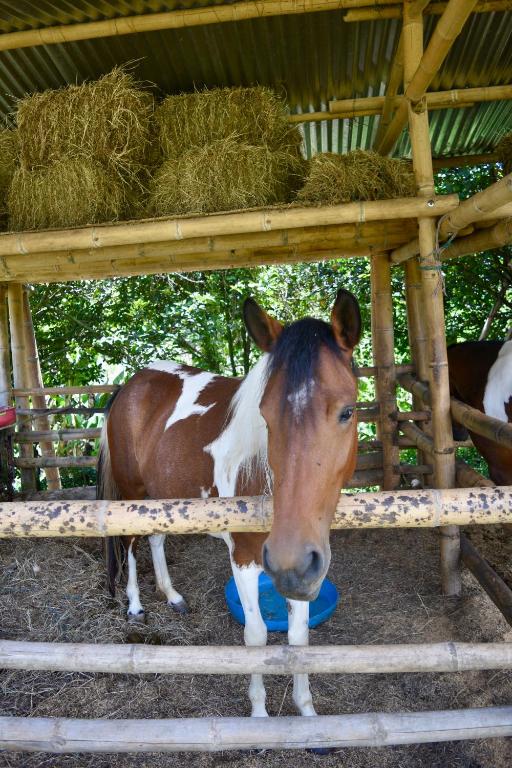 Los lagos del abuelo - 4