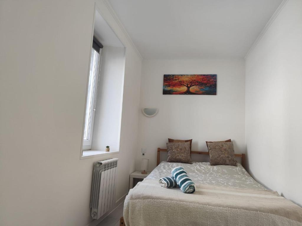 Appartement ultra centre de Thonon dans petite copropriéte - 5