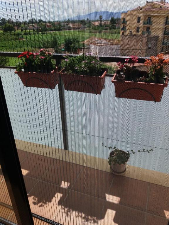 Apartamento Dúplex en Delta de l'Ebre dos terrazas y balcón - 5
