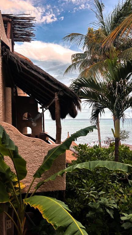 Hotel Casa Colibri - 1