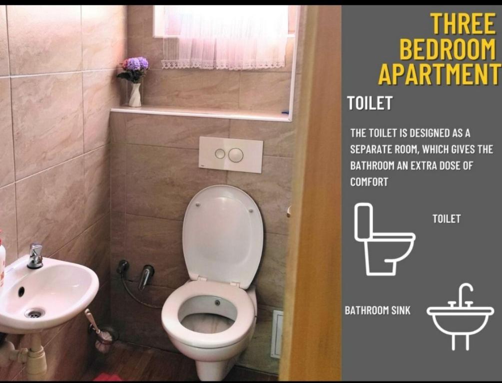 Aleja 1 apartment - 4