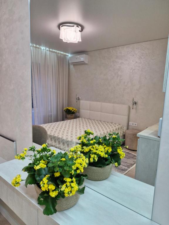 Forest Dreаm by Шляпа, Polyana (Polana)