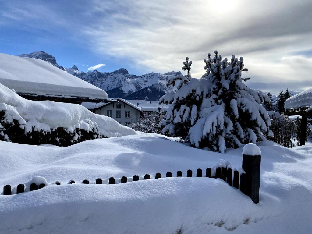 Chalet Julie in Villars-sur-Ollon - 3