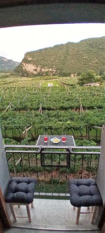 La Masera Holiday - Oliveto - 5
