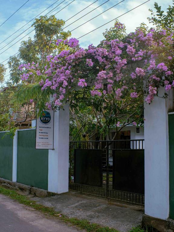 Ayyo Hostel, Unawatuna