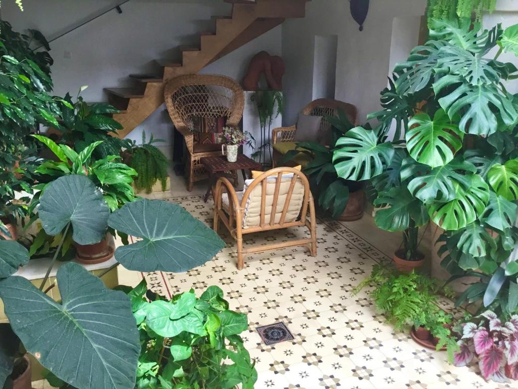 Apartamento en Casa Patio "Pan y Conejo" - 2